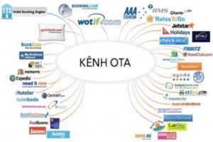 khoa hoc ota hieu qua nhat