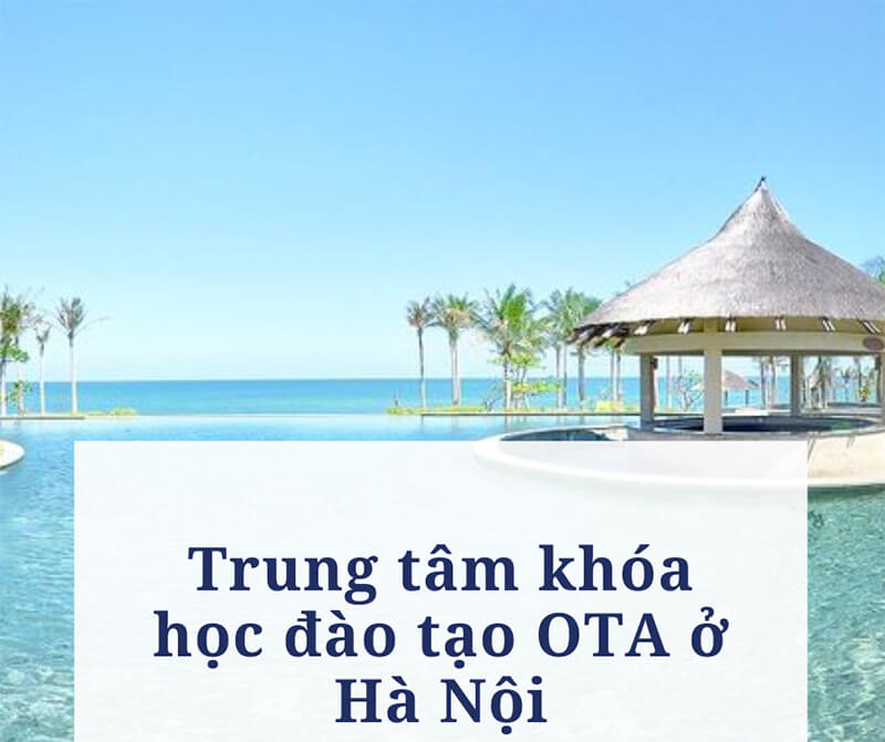 TRUNG TÂM KHÓA HỌC ĐÀO TẠO OTA HÀ NỘI