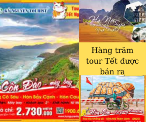 Hàng trăm tour du lịch từ các công ty lữ hành
