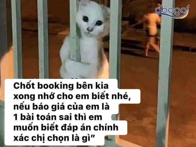 Chốt phòng này cho Chị