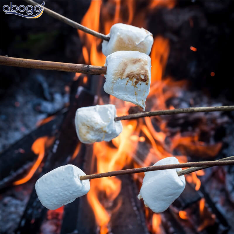 Nướng Marshmallow cho các buổi tiệc ngoài trời