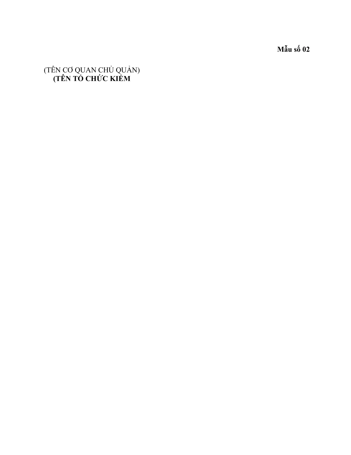 MẪU BÁO CÁO HOẠT ĐỘNG KIỂM TOÁN NĂNG LƯỢNG