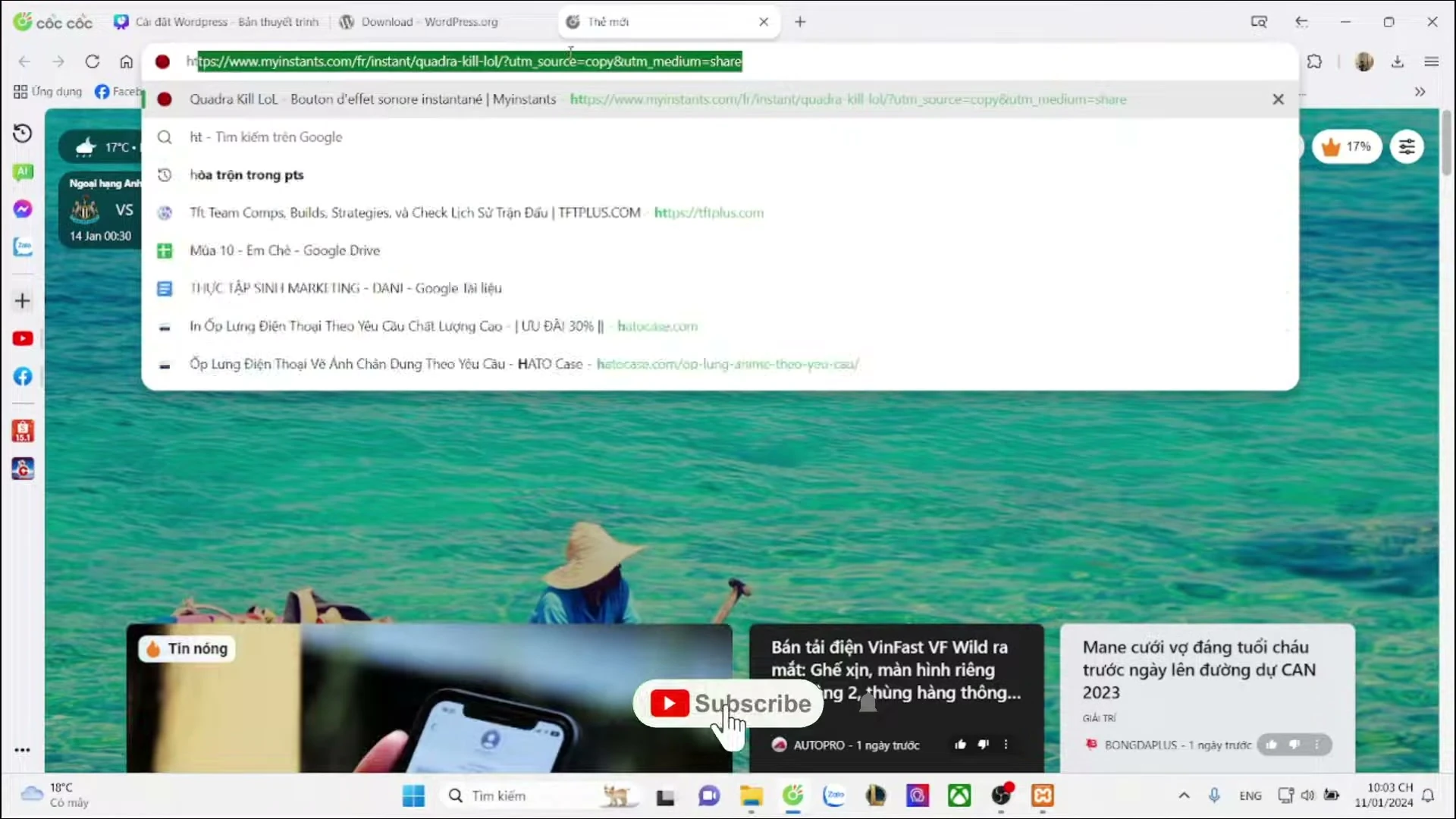 Giao diện phpMyAdmin trong trình duyệt đang thực hiện tạo mới một cơ sở dữ liệu cho WordPress