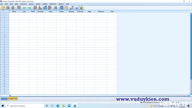 Kích hoạt bản quyền cho SPSS 26